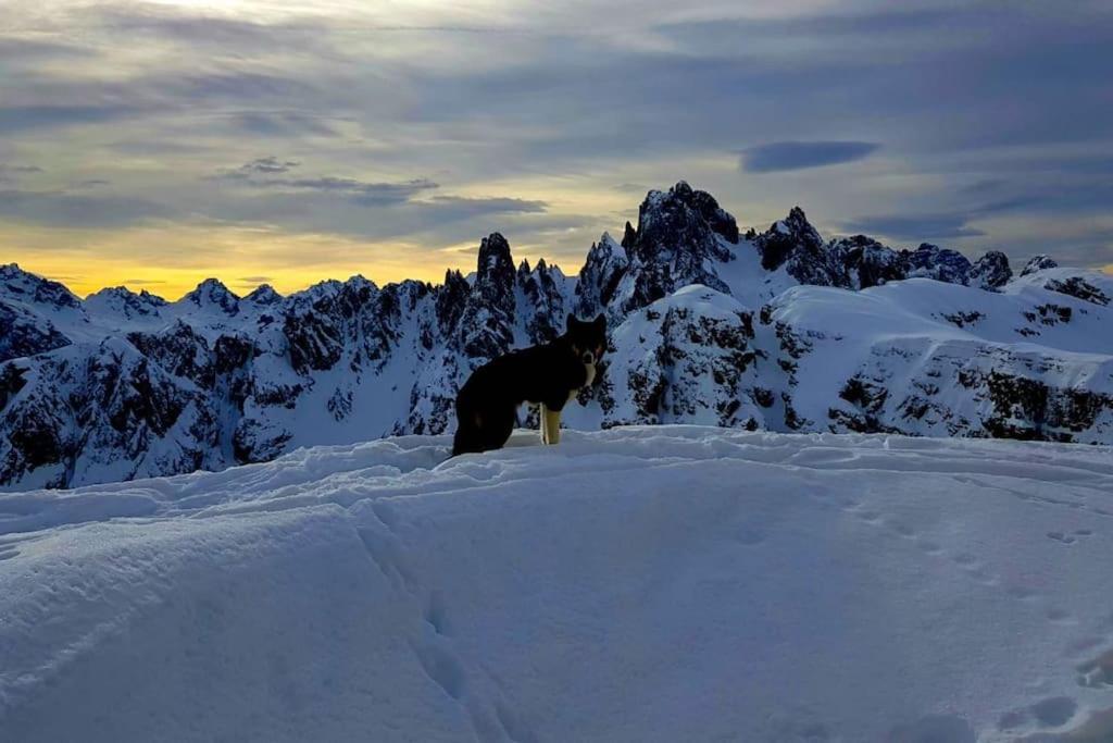 Appartamento Daniela Dolomiti. Auronzo di Cadore Luaran gambar